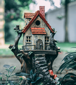 Lawn & Garden